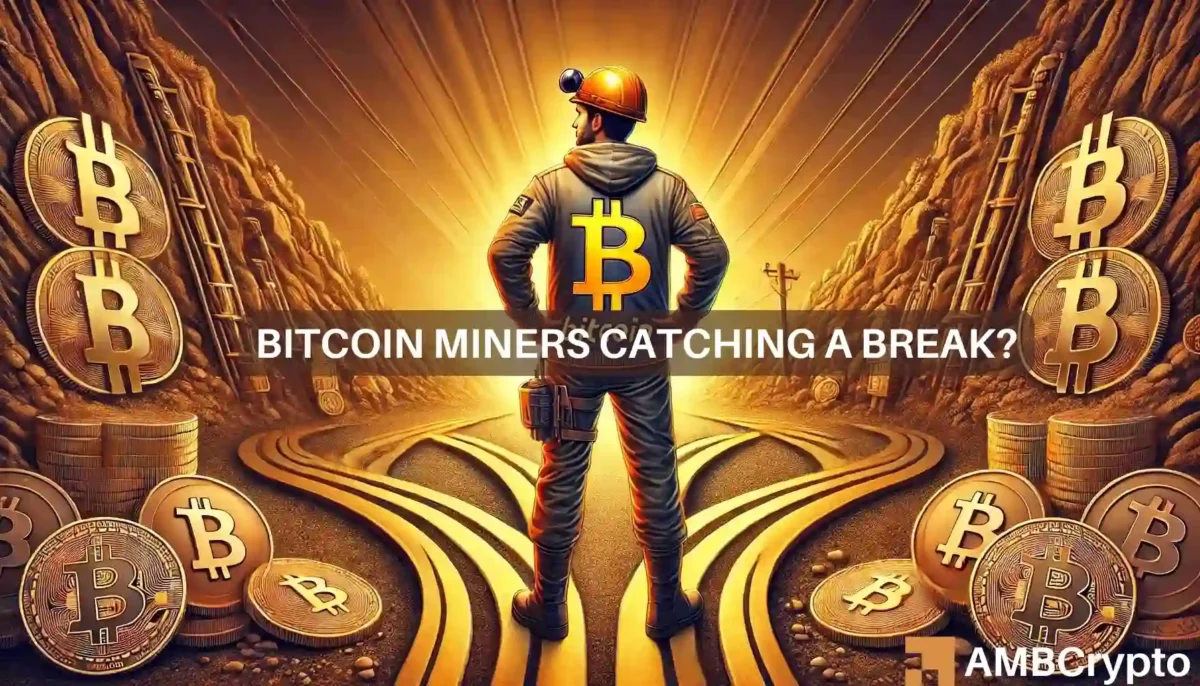 Bitcoin at a crossroads - Miner capitulation vs signs of market stability