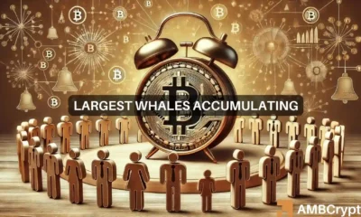 How Bitcoin's whale action can stop BTC from falling below $60K