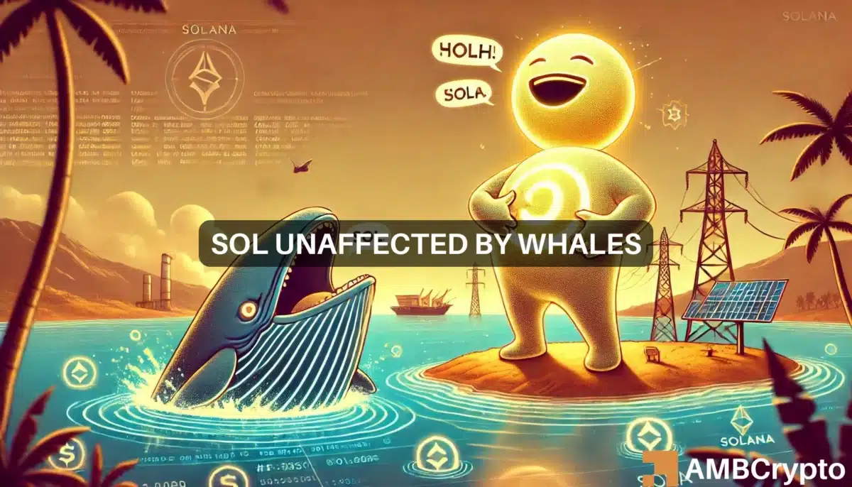 Despite Solana whale's $2.9 million dump, SOL analyst eyes $180