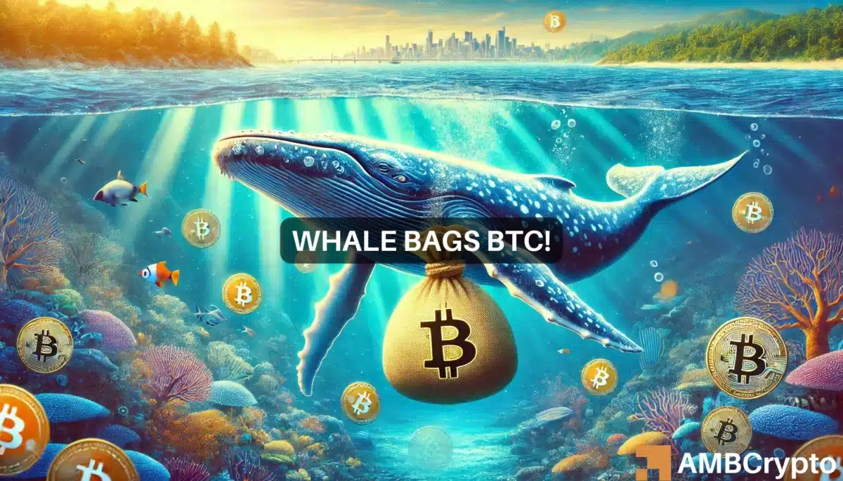 Bitcoin whale bags BTC worth $31 million - Are the bulls back?