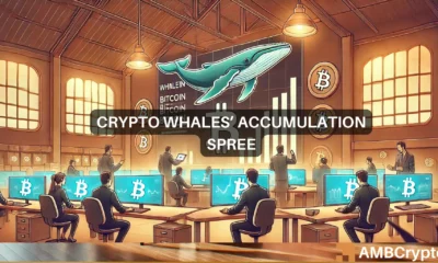 Crypto whale scoops up 84,000 BTC in July: Bullish market shift?