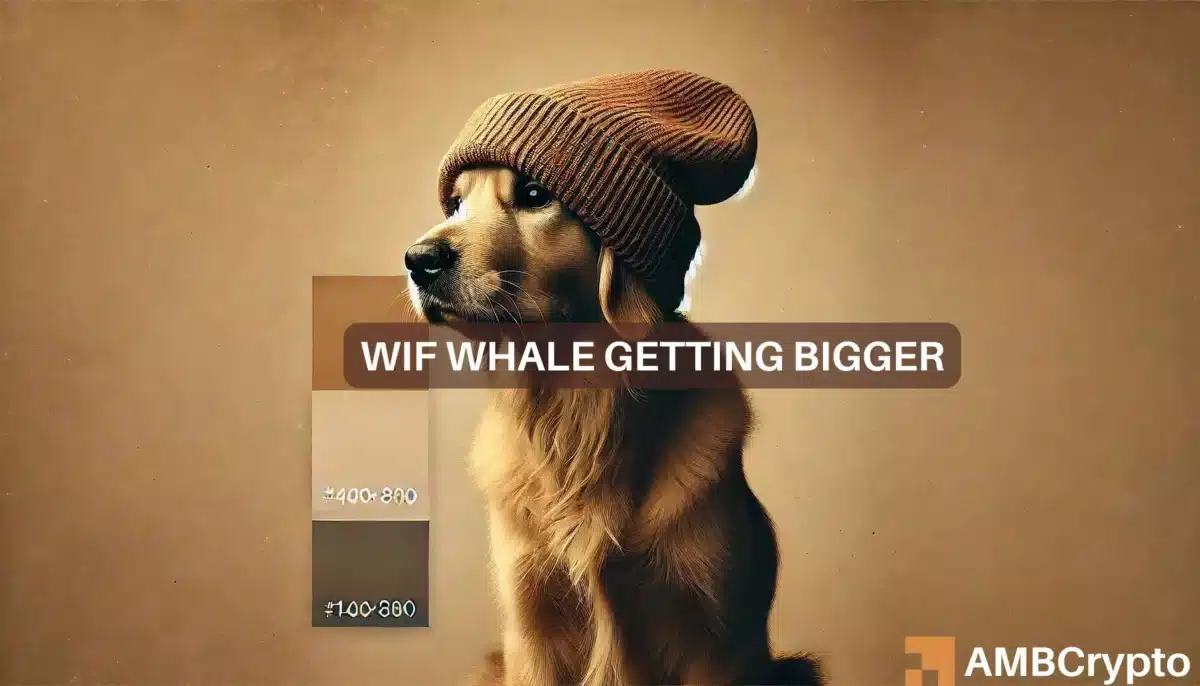 Dogwifhat sees massive gains as largest holder increases stake to $53M