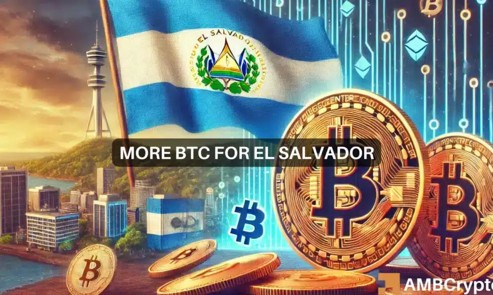 1 BTC a day! El Salvador’s Bitcoin buying spree goes on and on because…