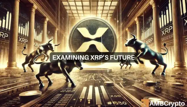 Examining XRP's future