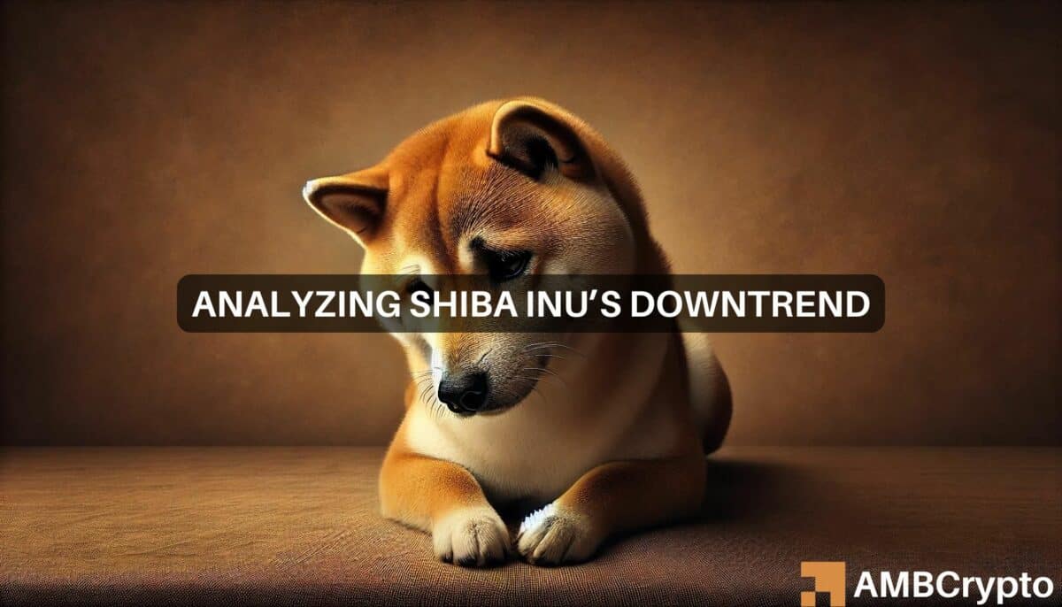 Shiba Inu