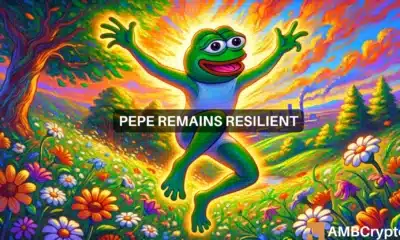 As PEPE tests key support level, is a major rally on the way?