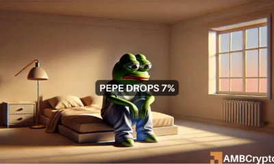 PEPE drops 7%