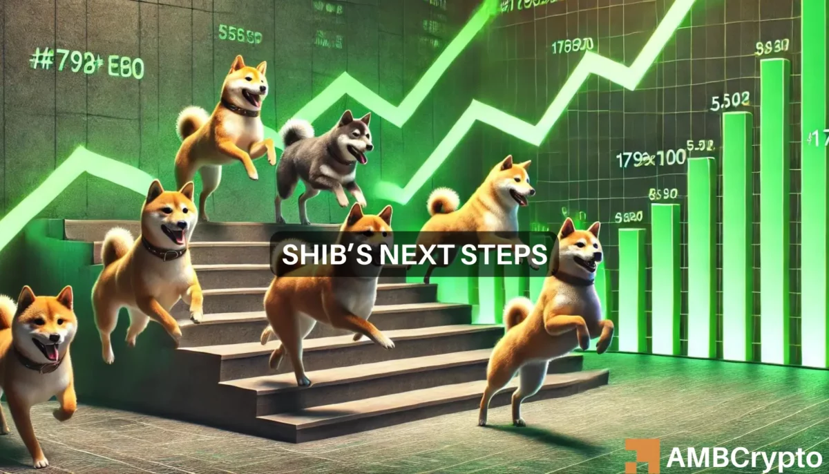 Shiba Inu's August predictions - A possible breakout, but whales may be key!