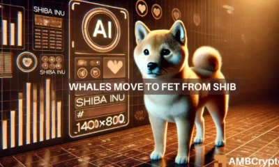 Shiba Inu Whale shifts focus to FET amid declining memecoin market
