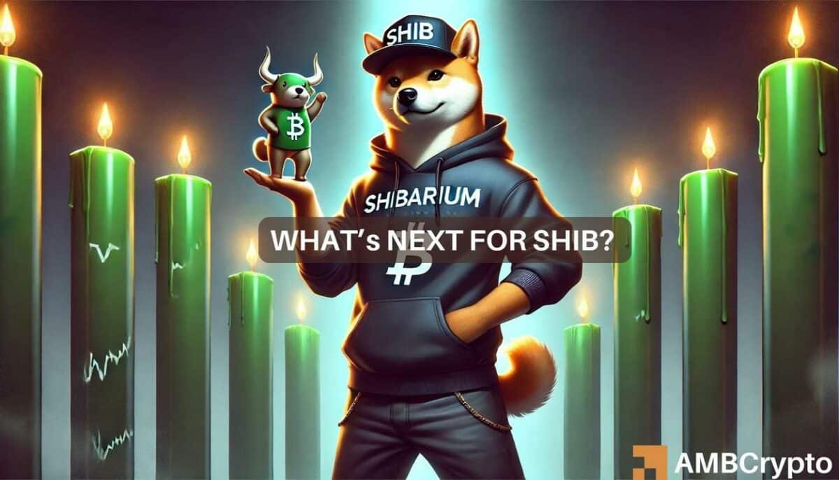 Shiba Inu price prediction: What’s next after SHIB's 10% recovery?