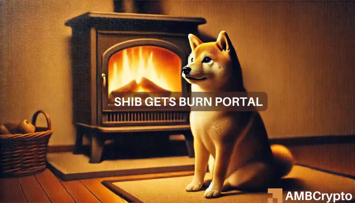 Examining the impact of Shiba Inu's latest burn portal on SHIB's price