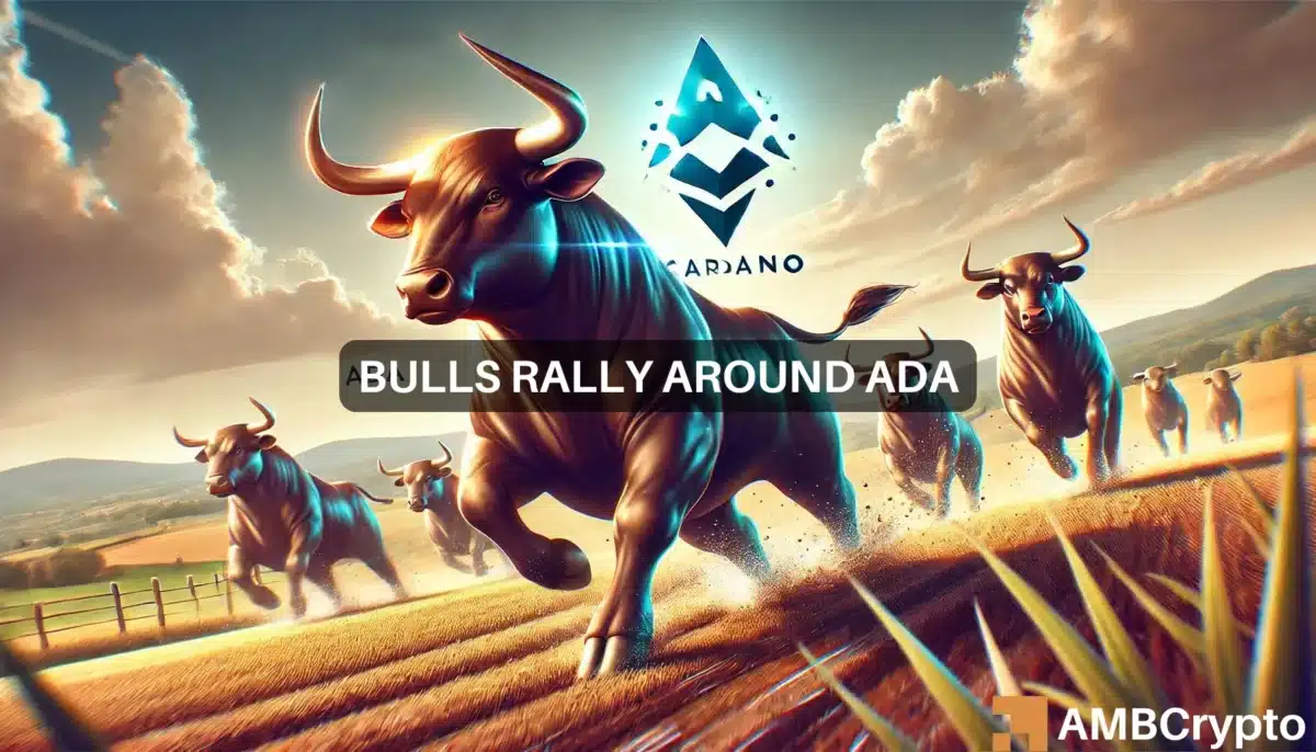 Why is Cardano up today? Looking into ADA's 6% rally