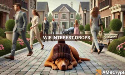 dogwifhat's investor interest falls: Will this delay WIF’s recovery?