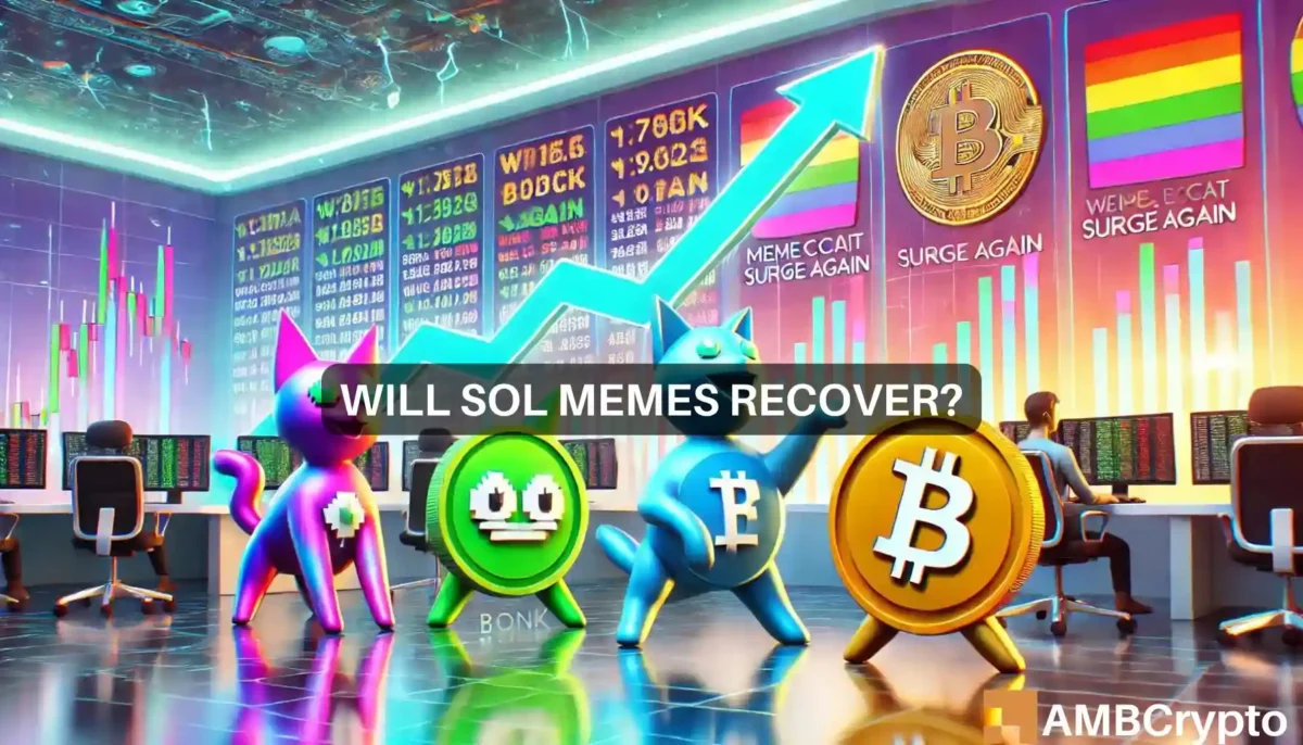 Solana memecoins