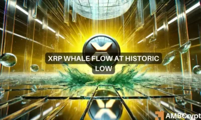 XRP Network Health Strong and the Whale to Exchange Flow Signals Long-Term Hope