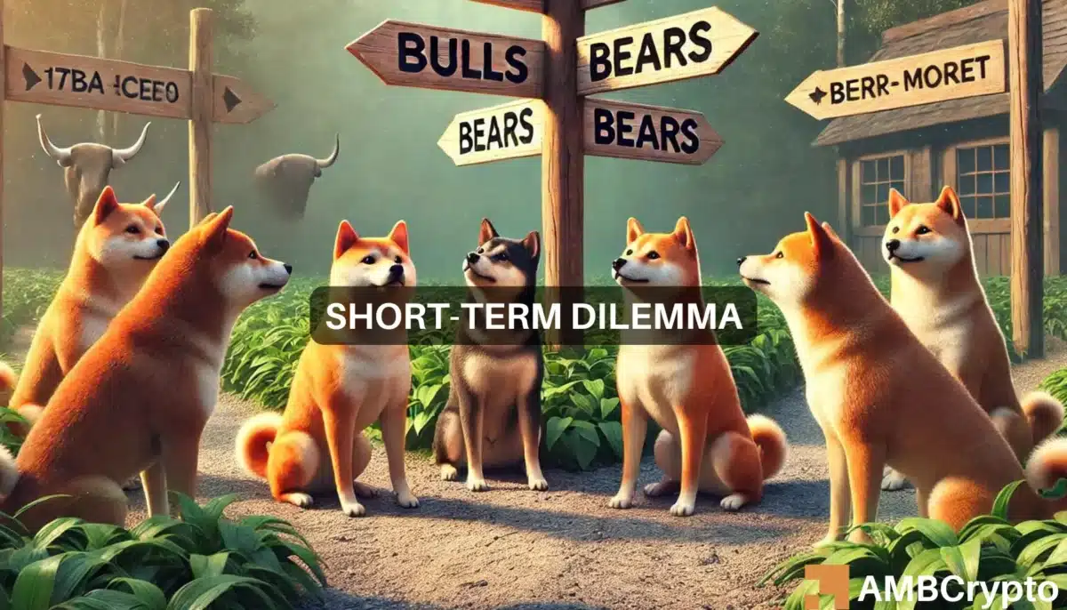 Shiba Inu price prediction - Here's where SHIB traders should be careful now!