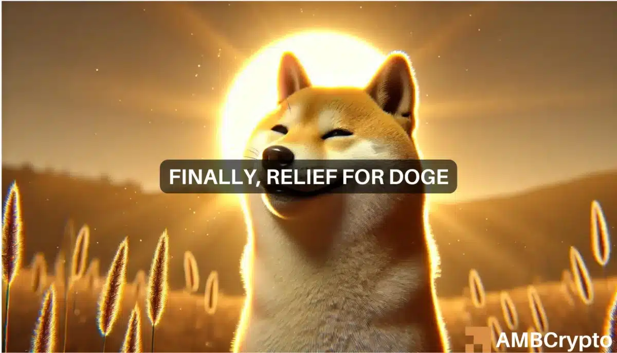 Is Dogecoin's recovery coming? Bullish indicators emerge