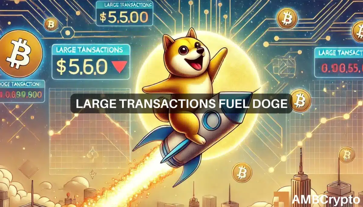 Dogecoin's large transactions surge 35%: What's next for DOGE?