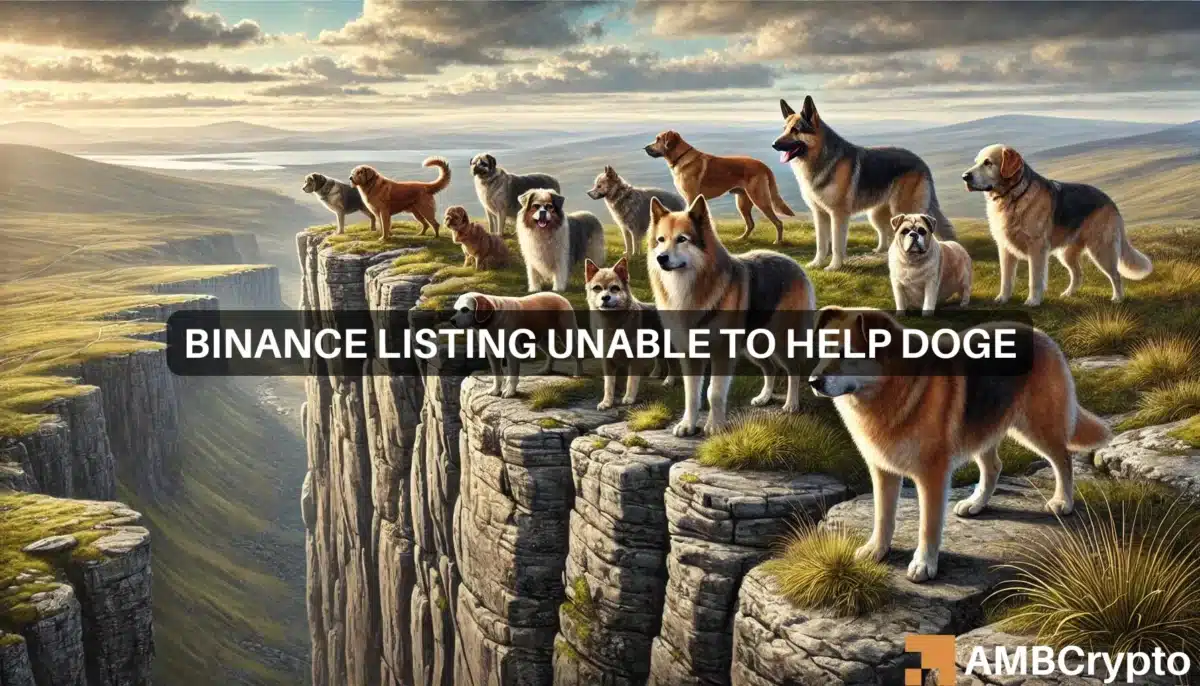 DOGS memecoin plummets by 23.77% after Binance listing: What's next?