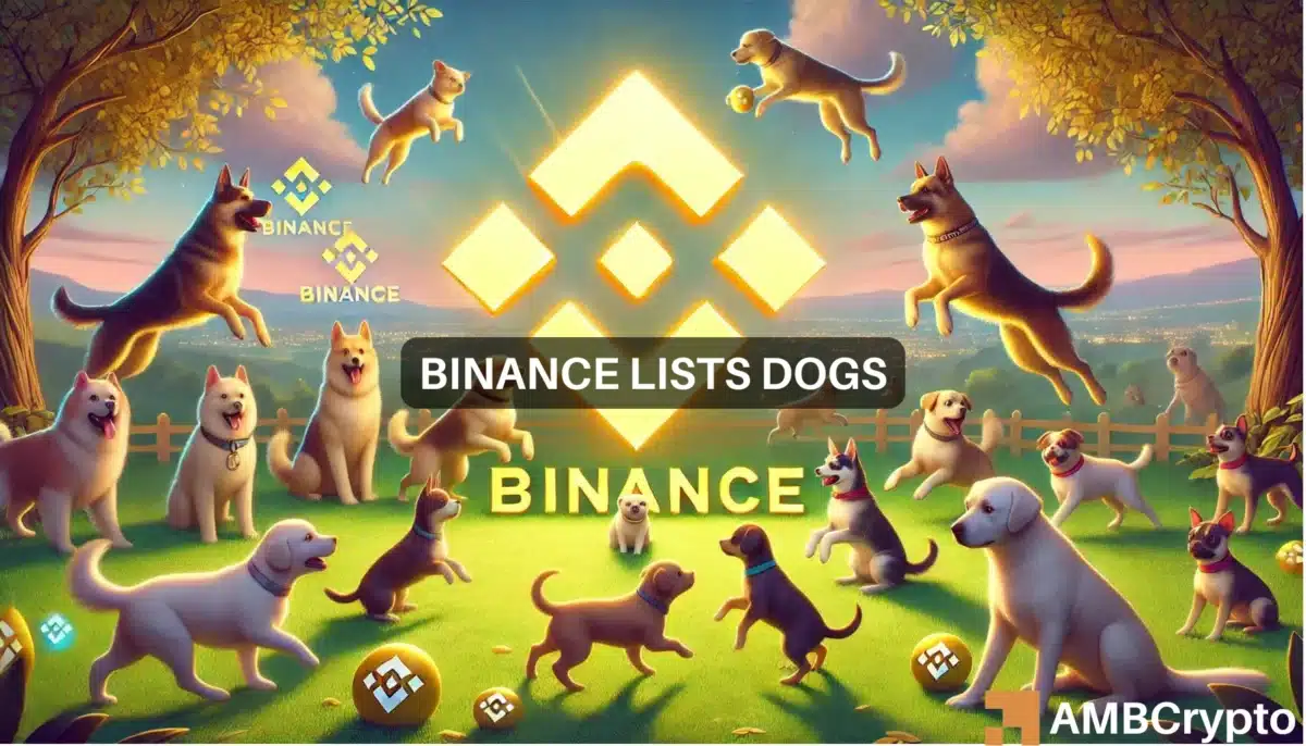 How BNB, DOGS fared as Binance Launchpool lists the memecoin