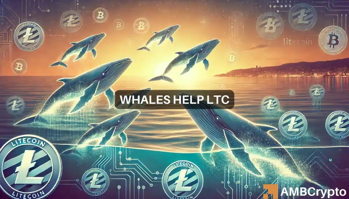 Whales help Litecoin surge 10.32% - Will LTC rally another 40%?