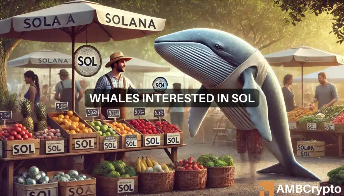 Solana whale moves 8 mln SOL as prices remain stagnant - Breakout next?