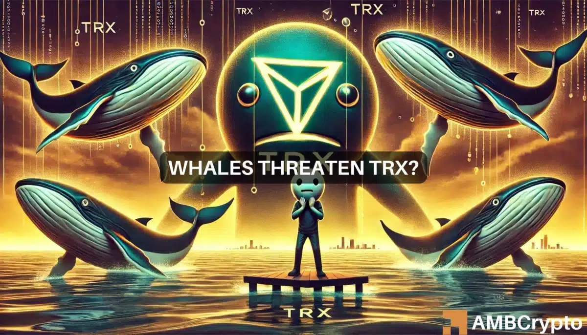 Tron crosses 2024 high above $0.148, but will whales turn TRX bearish?