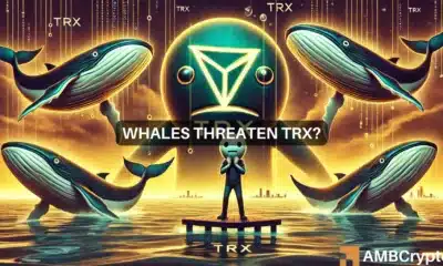 Tron crosses 2024 high above $0.148, but will whales turn TRX bearish?