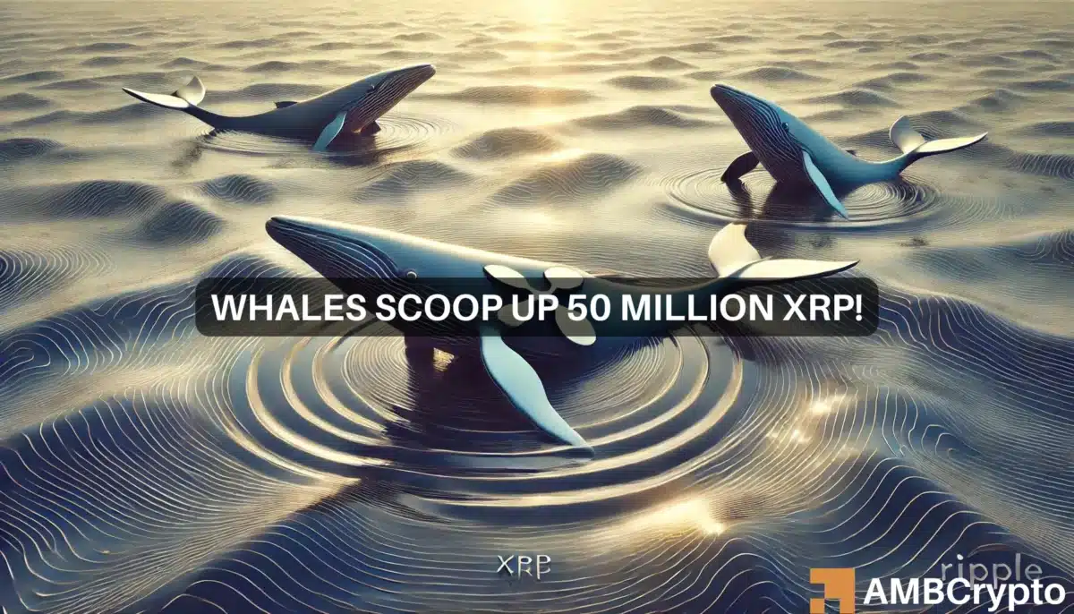 XRP whales scoop up 50 mln tokens amid price drop - Bull run incoming?