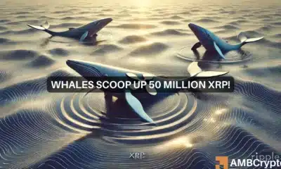 XRP whales scoop up 50 mln tokens amid price drop - Bull run incoming?