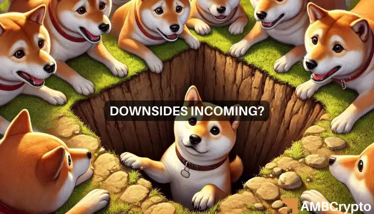 Shiba Inu price prediction - SHIB to reverse its 2024 gains now?