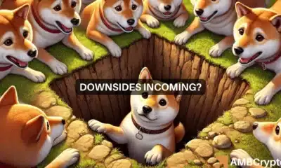 Shiba Inu price prediction - SHIB to reverse its 2024 gains now?