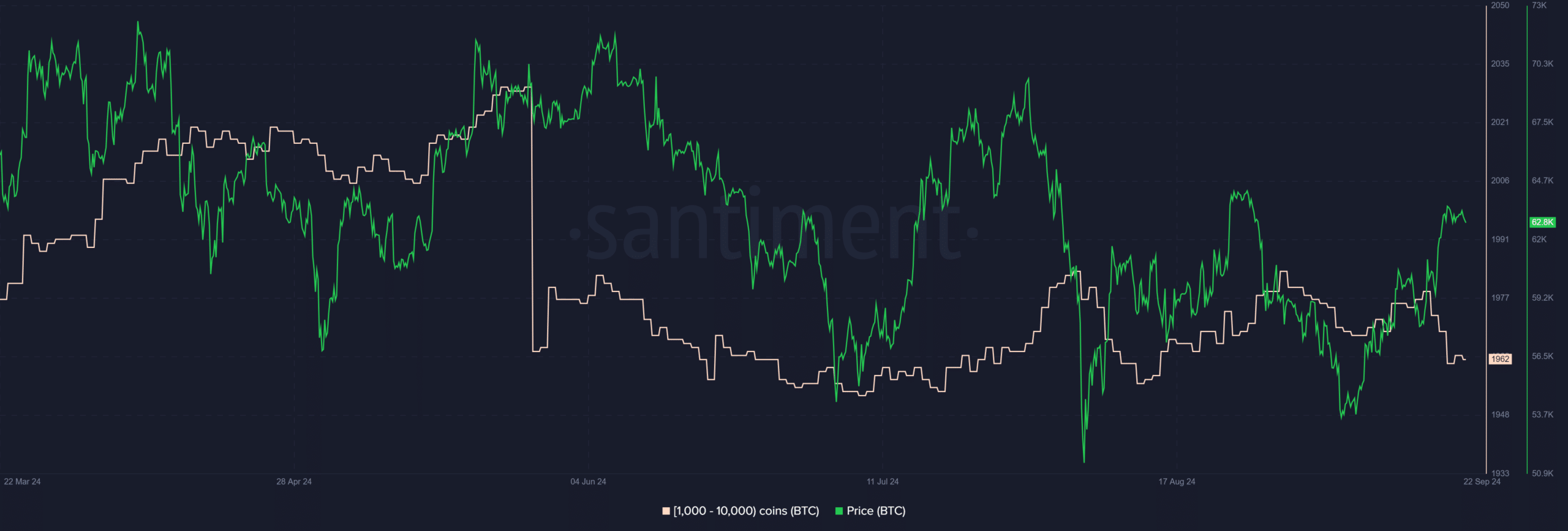 Ballenas de Bitcoin