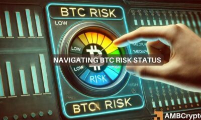 Bitcoin's risk dynamics: Safe haven or speculative bet?