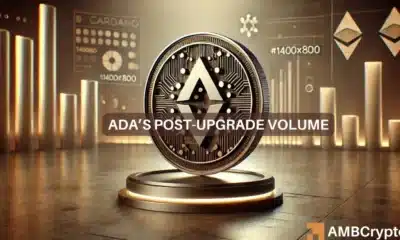 Cardano sees spike in active addresses, but will ADA's price follow?