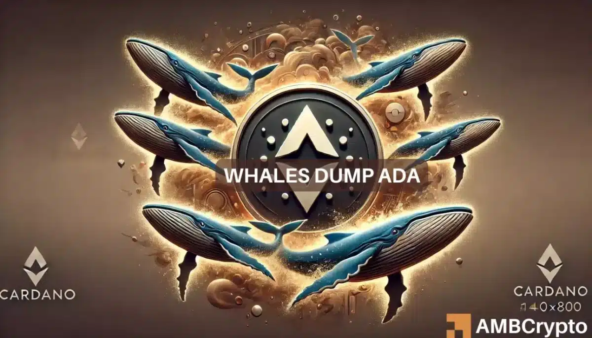 Cardano crypto whales dump $326 mln after Chang hard fork - What now?