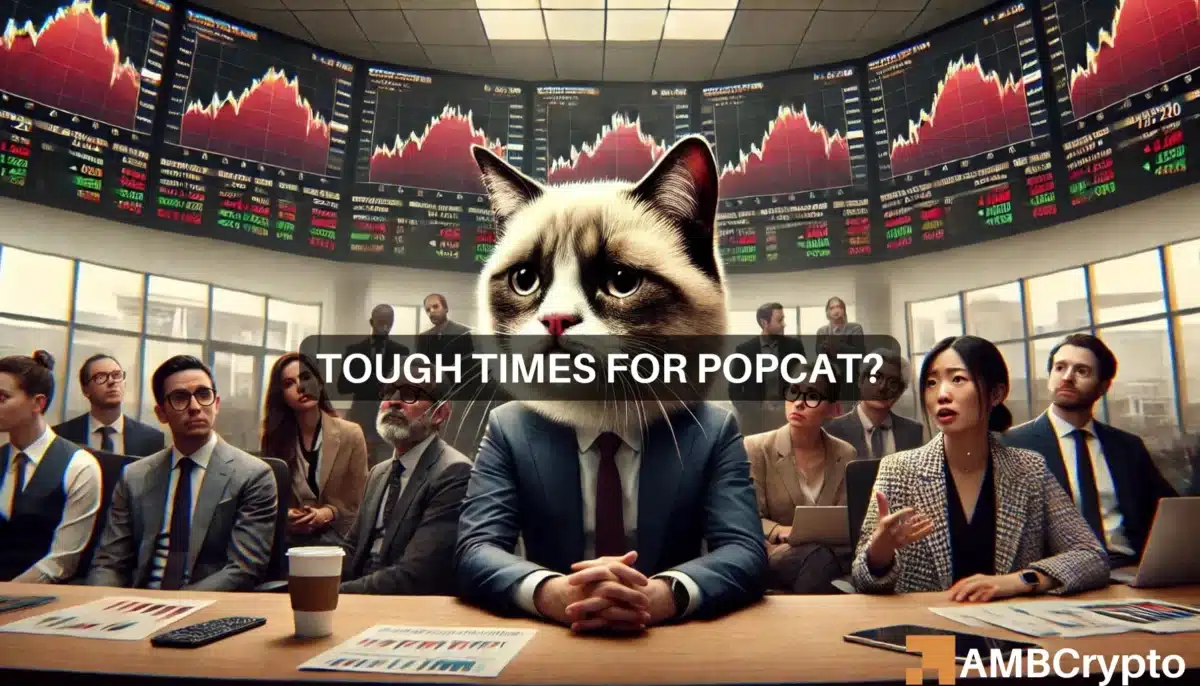 Assessing why POPCAT's price may be at risk of 15% decline