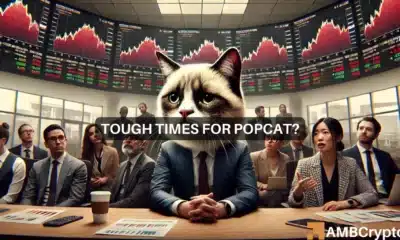 Assessing why POPCAT's price may be at risk of 15% decline