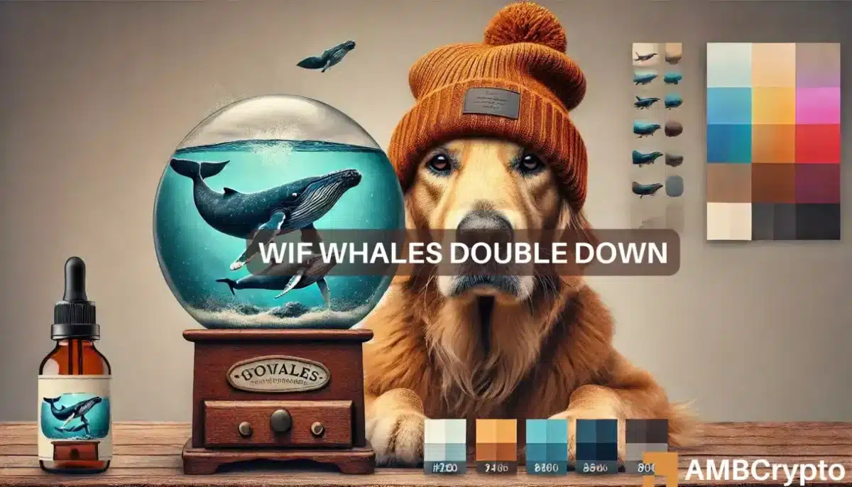 dogwifhat whale accumulates $13 mln tokens - What's behind this move?