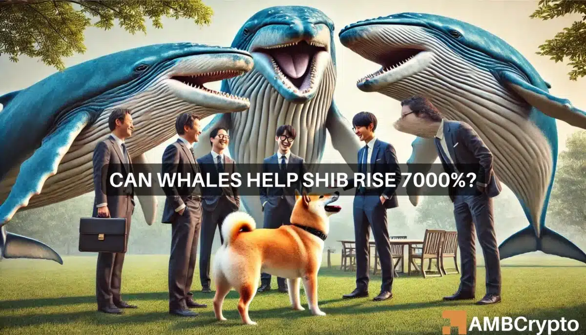 Can Shiba Inu whale moves help SHIB rise 7000%?