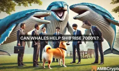 Can Shiba Inu whale moves help SHIB rise 7000%?