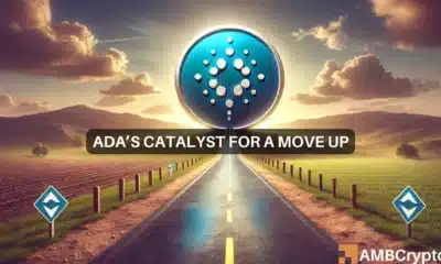 CARDANO