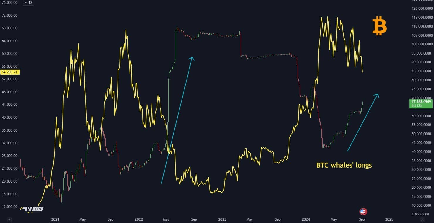 Bitcoin: BTC'nin 'boğa döngüsünün' sona ermesinden çok uzak olmasının en önemli nedenleri