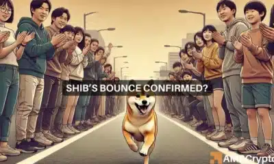 Shiba Inu