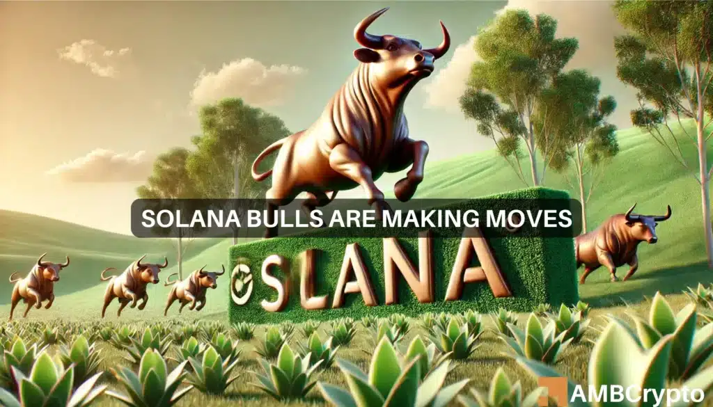 Solana: Will whale activity take SOL beyond $209?