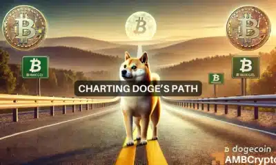 Dogecoin