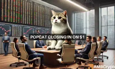 Popcat