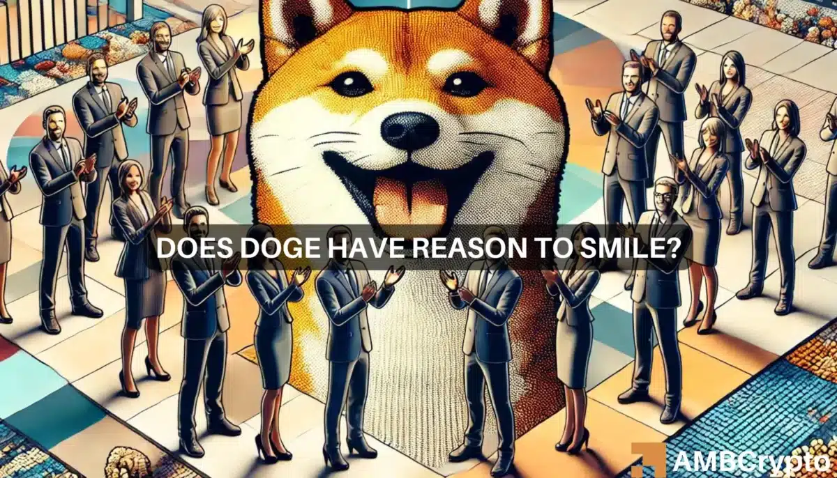 Dogecoin's next rally - DOGE whales will have their say and that means...