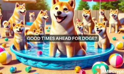 Dogecoin's latest 'hike' - Identifying the odds of a real price rally next