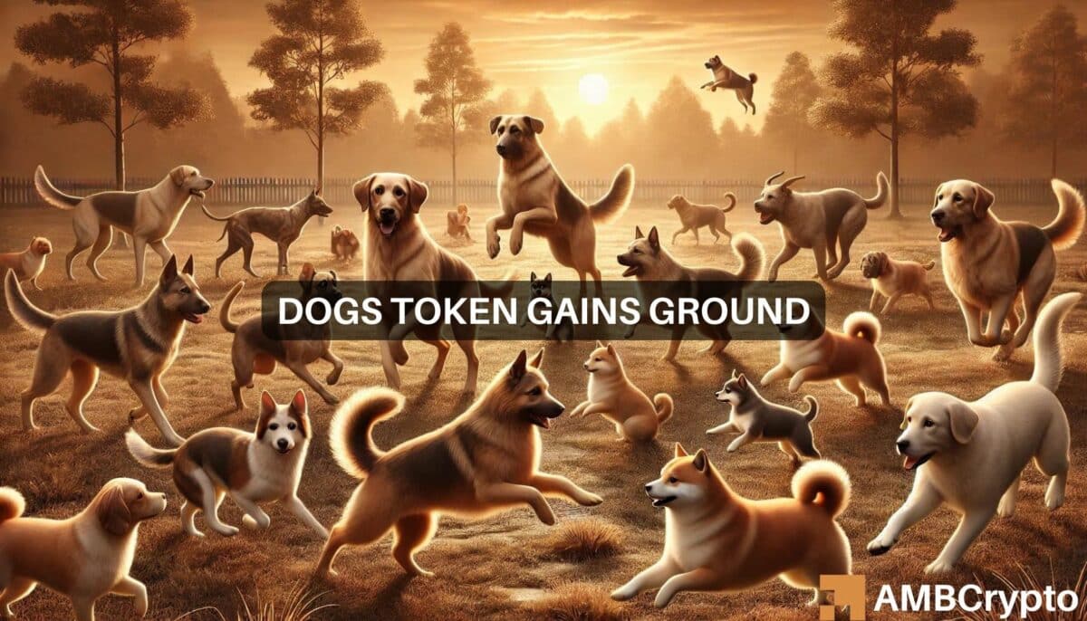 DOGS token